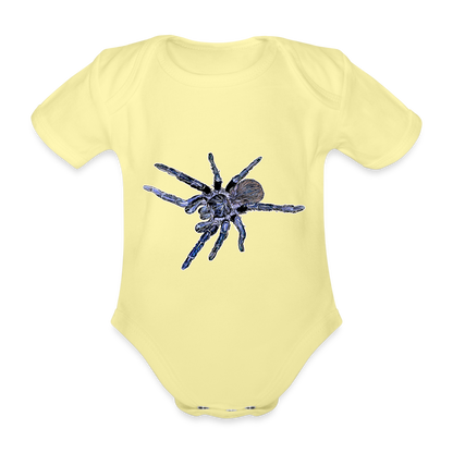 Baby Body kurz Pterinopelma sazimai - Hellgelb