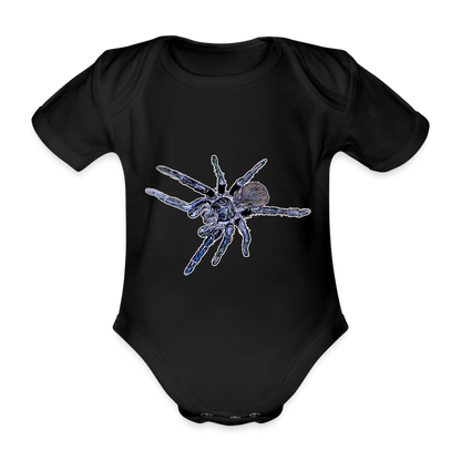 Baby Body kurz Pterinopelma sazimai - Schwarz