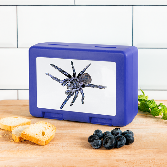 Luchbox Pterinopelma sazimai - Royalblau